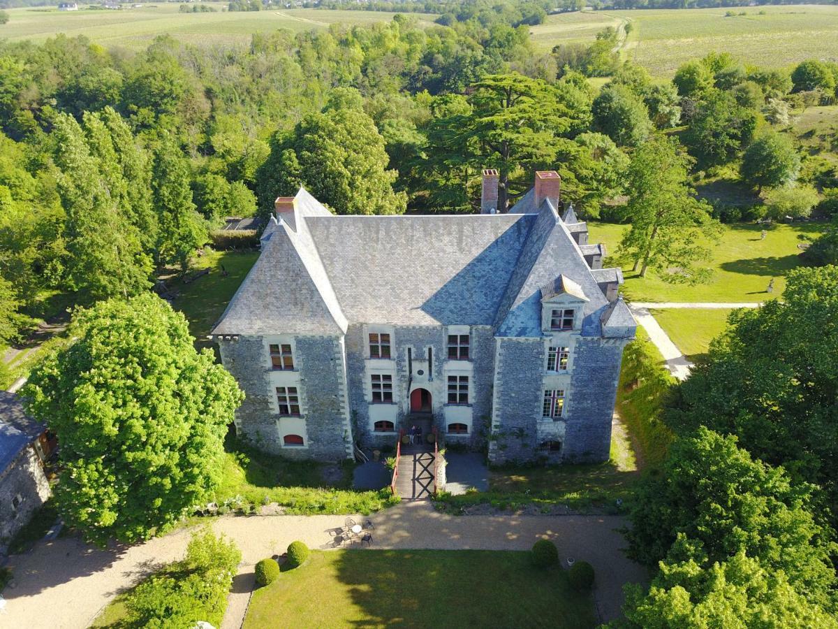 Chateau De La Fresnaye Bed and Breakfast Saint-Aubin-de-Luigné Buitenkant foto