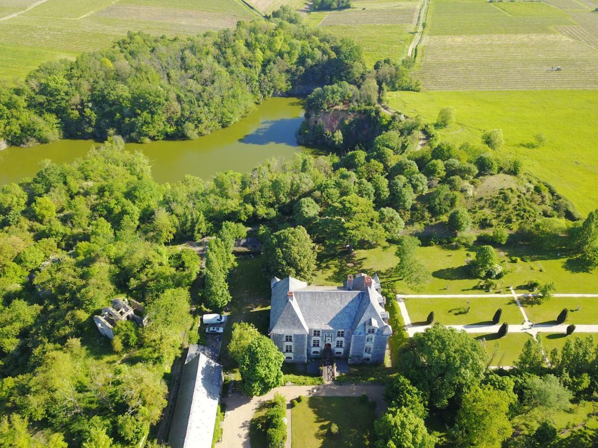 Chateau De La Fresnaye Bed and Breakfast Saint-Aubin-de-Luigné Buitenkant foto