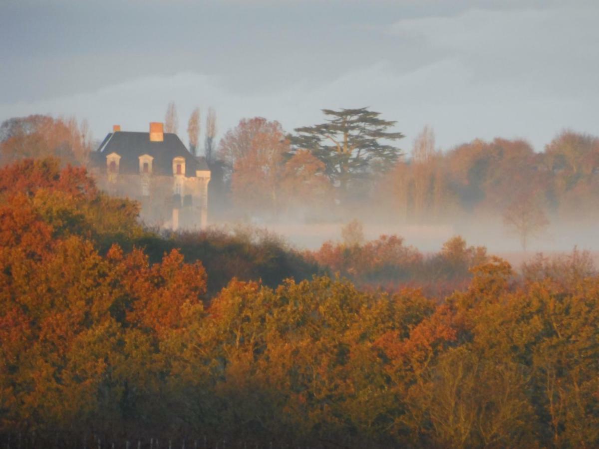 Chateau De La Fresnaye Bed and Breakfast Saint-Aubin-de-Luigné Buitenkant foto